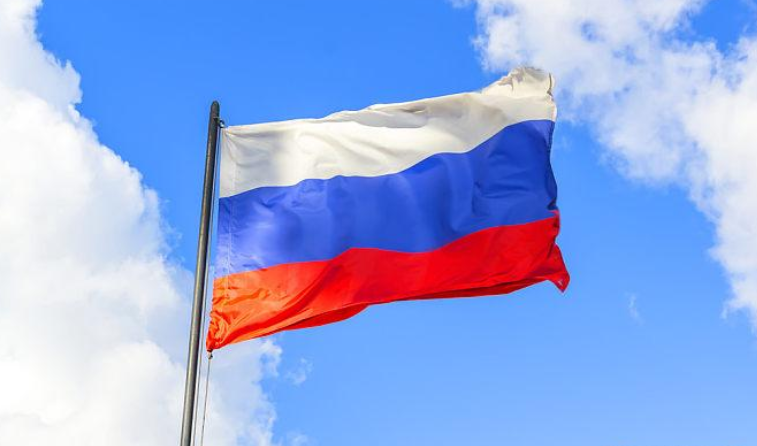俄羅斯“電子火因許可證”通過二讀三讀 9月1日起生效